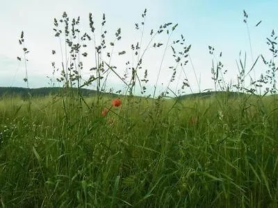 Apartment Reitz - Urlaub In Der Heimat Der Brueder Grimm *